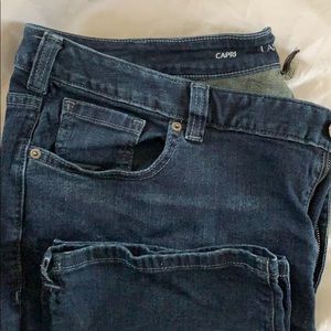 Lane Bryant Capri pants